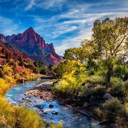 Virgin River view in Zion